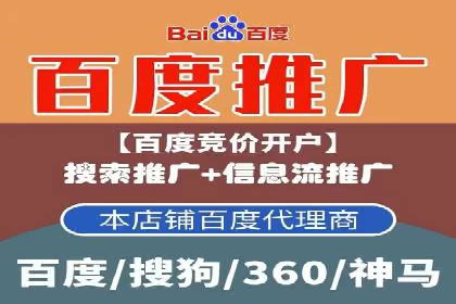 SEM服务案例：提升网站流量